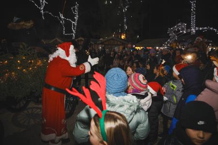 Božiček in žive jaslice (80)